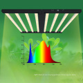 LED LED de alta calidad 600W Lámpara de cultivo Full Spectrum